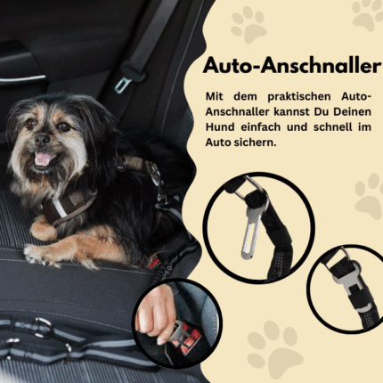 Ein Hund im Auto der mit dem integrierten Auto-Anschnaller gesichert ist