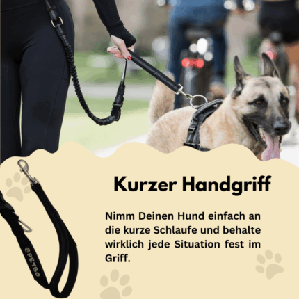Hundeleine mit kurzem Handgriff