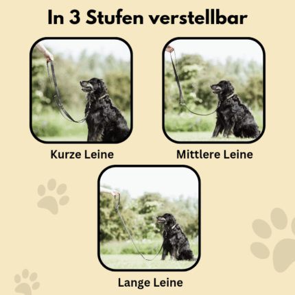 In 3 Stufen verstellbar - Kurze Leine, Mittlere Leine, Lange Leine