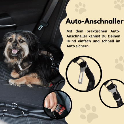 Hund im Auto der mit dem integrierten Auto-Anschnaller gesichert ist