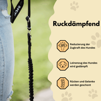 Hundeleine mit ruckdämpfende Bungee-Elastik, die den Leinenzug abdämpft