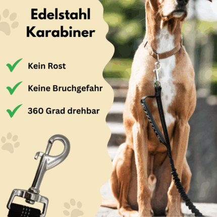 Edelstahl-Karabiner, der rostfrei ist und bei dem keine Bruchgefahr besteht