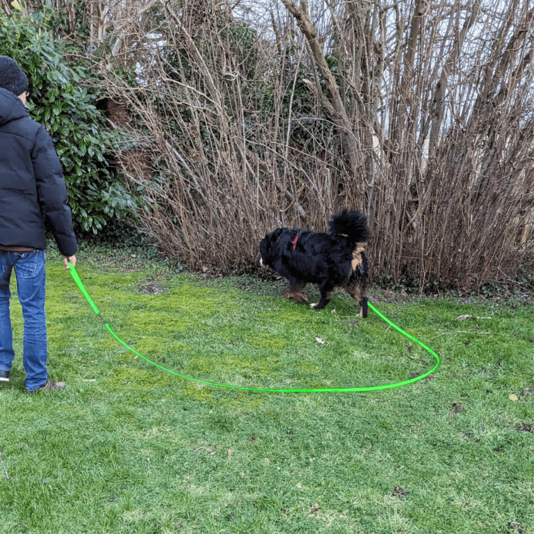 5m lange Biothane Schleppleine an Hund