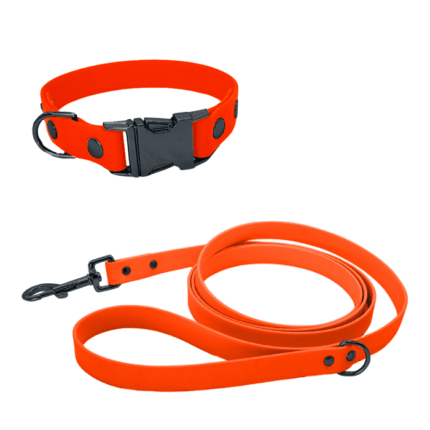 Biothane Set mit Leine und Halsband mit Klickverschluss in orange mit Metallteile in schwarz