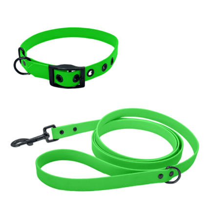 Biothane Set mit Leine und Halsband mit Schnalle in neon-grün mit Metallteile in schwarz