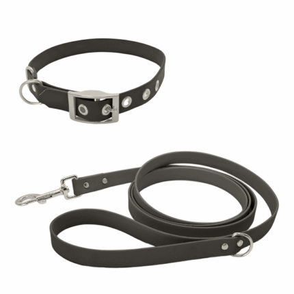 Biothane Set mit Leine und Halsband mit Schnalle in schwarz mit Metallteile in silber