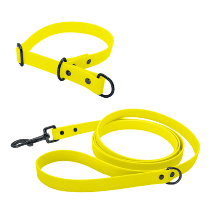 Biothane Set mit Leine und Halsband mit Zugstopp in neon-gelb mit Metallteile in schwarz