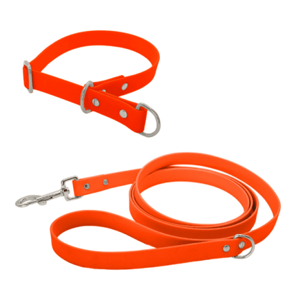 Biothane Set mit Leine und Halsband mit Zugstopp in orange mit Metallteile in silber