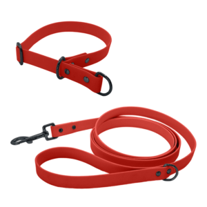 Biothane Set mit Leine und Halsband mit Zugstopp in rot mit Metallteile in schwarz