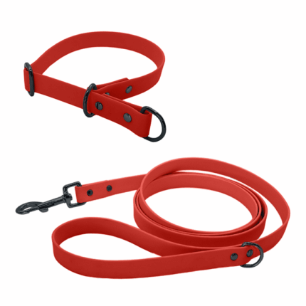 Biothane Set mit Leine und Halsband mit Zugstopp in rot mit Metallteile in schwarz