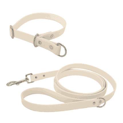 Biothane Set mit Leine und Halsband mit Zugstopp in weiß mit Metallteile in silber