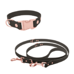 Biothane Set mit Klick-Halsband und verstellbarer Leine in schwarz mit Metallteile in rosegold