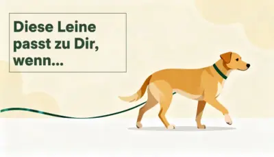 Ein Hund angeleint an einer Leine und daneben die Überschrift "Diese Leine passt zu Dir, wenn..."