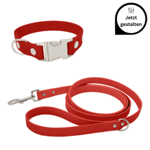 Biothane Leine und Halsband mit Klickverschluss im Set