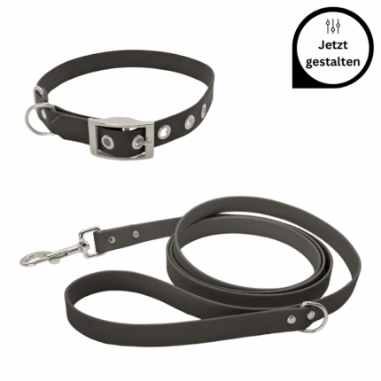 Biothane Leine und Halsband mit Schnalle im Set