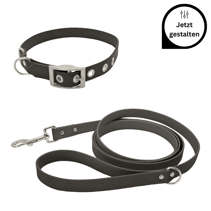 Biothane Leine und Halsband mit Schnalle im Set Biothane Leine und Halsband mit Schnalle im Set