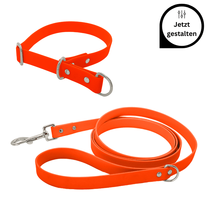 Biothane Leine und Halsband mit Zugstopp im Set