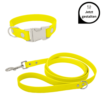 Biothane Set mit Leine und Halsband mit Klickverschluss