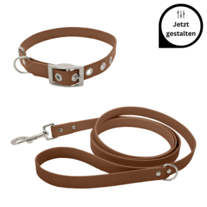 Biothane Set mit Leine und Halsband mit Schnalle