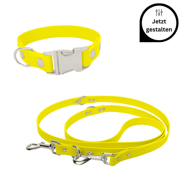 Biothane Set mit verstellbarer Leine und Halsband mit Klickverschluss