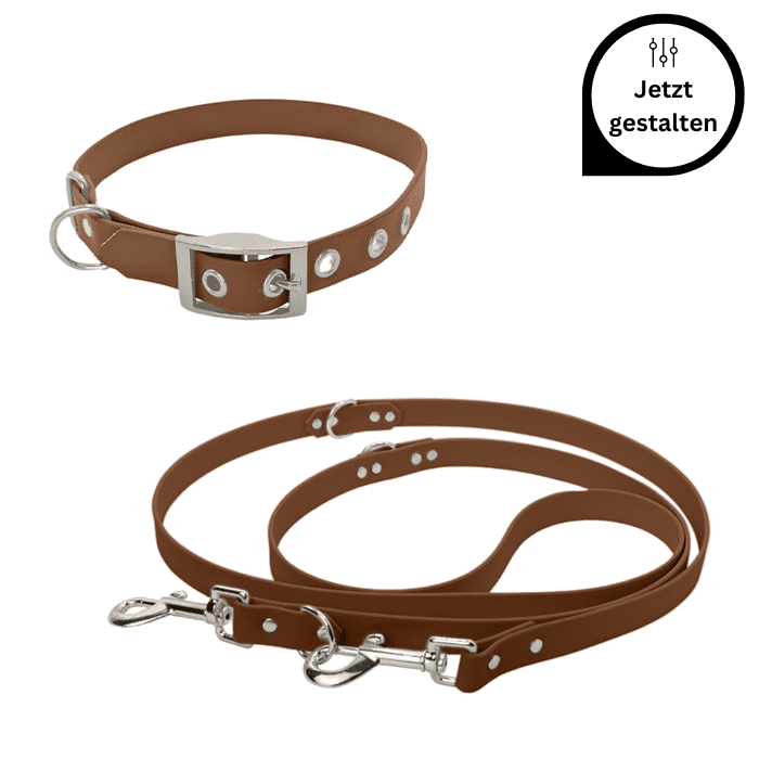 Biothane Set mit verstellbarer Leine und Halsband mit Schnalle und Ösen