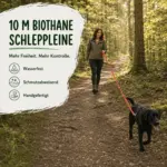 Frau führt Hund an einer orangefarbenen 10m Biothane Schleppleine auf einem Waldweg
