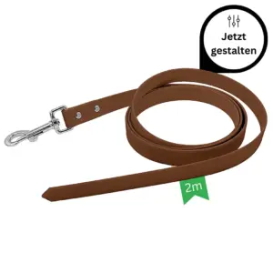 Biothane Leine 2m